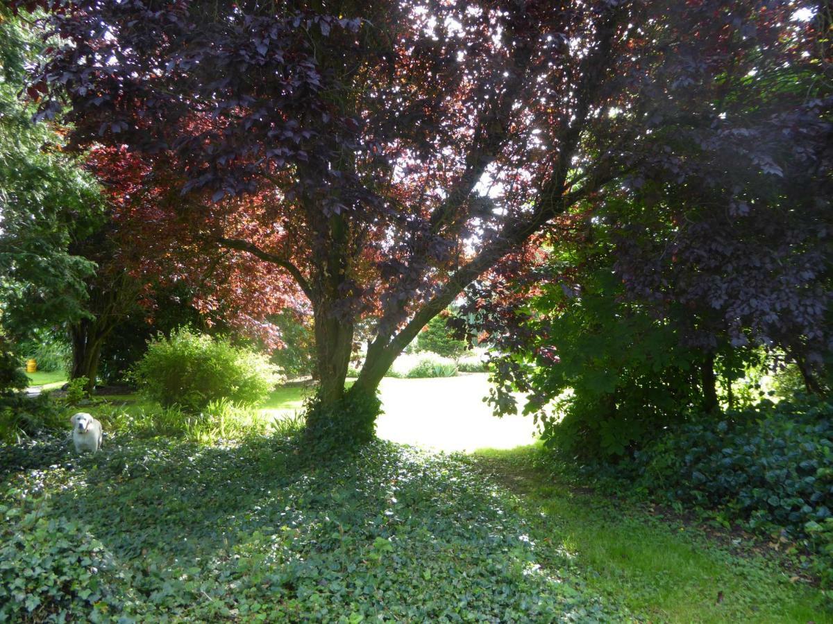 Broadacre Farm Bed and Breakfast Stabannan Exteriör bild